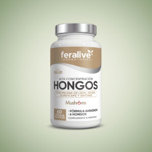 hongos
